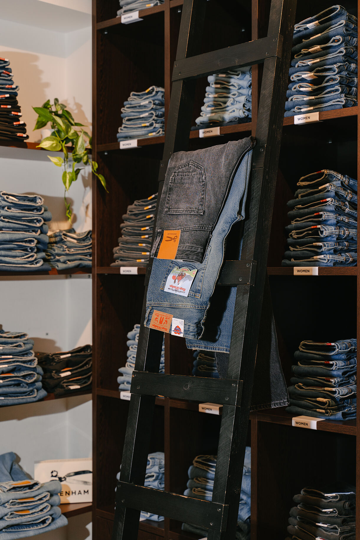 The Budims_Fotoshoot49 - DSC08093(c)Daniel Kalt @moments.kalt