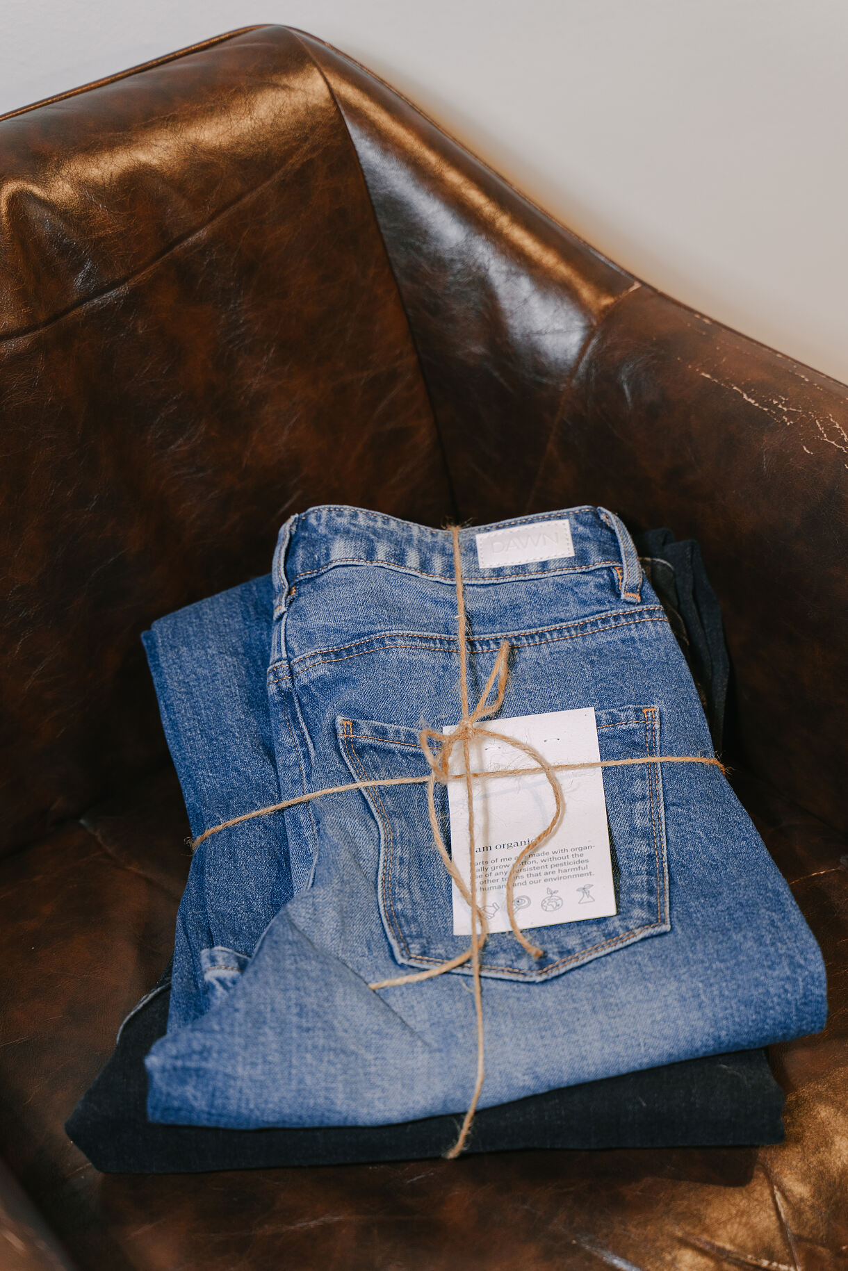 The Budims_Fotoshoot44 - DSC08079(c)Daniel Kalt @moments.kalt