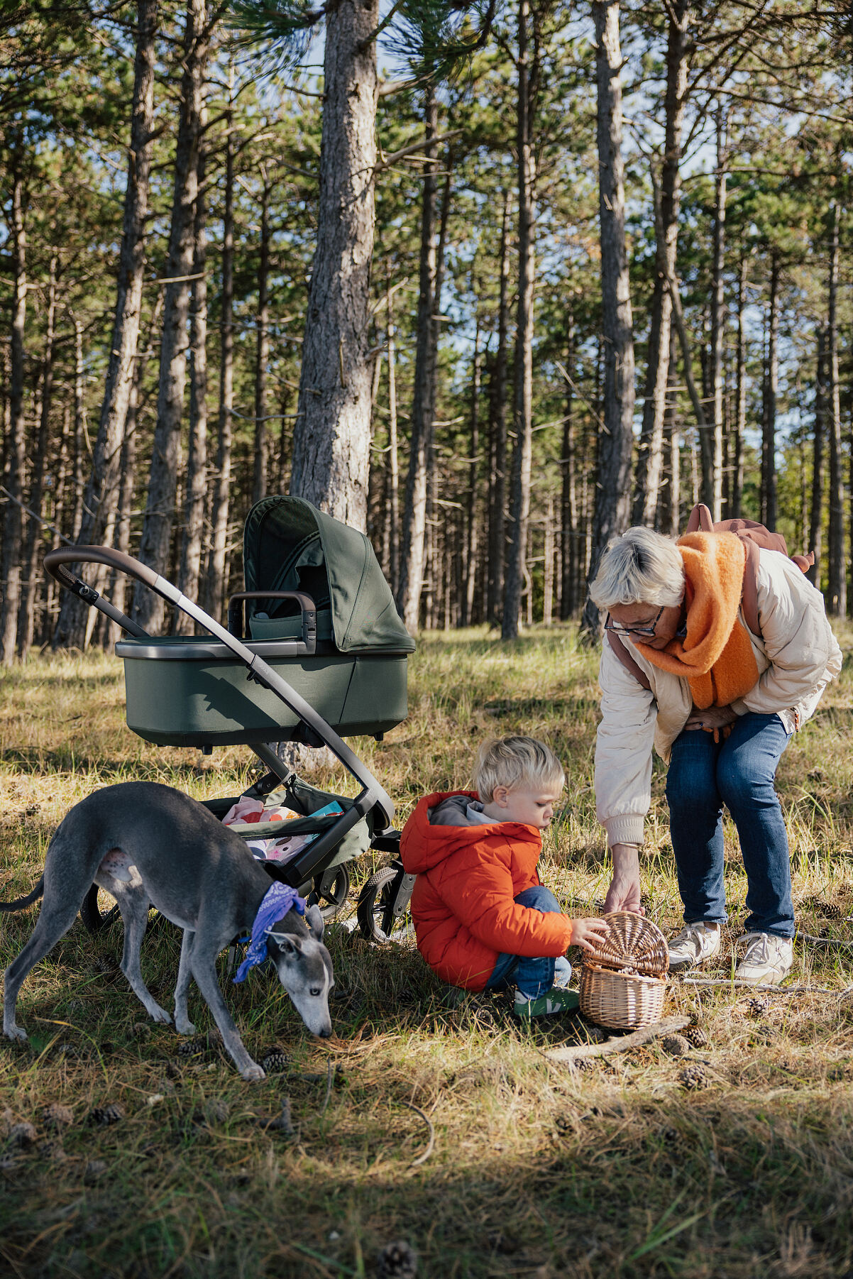 Joolz_Geo5_(c) Joolz_3