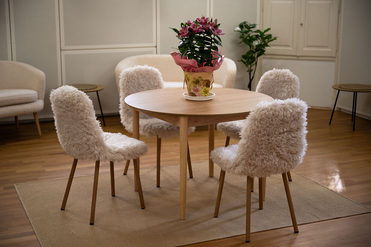 elanflow_(c) Furnica Marian_4