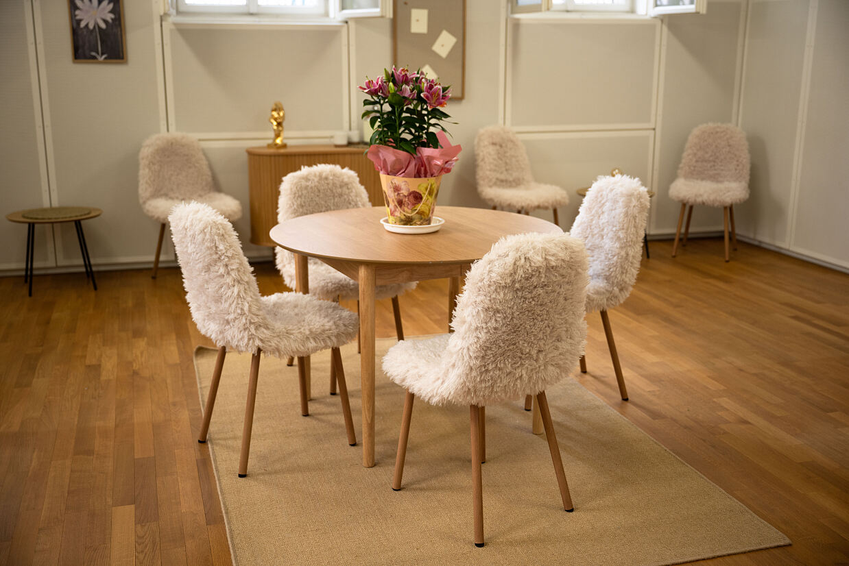 elanflow_(c) Furnica Marian_8