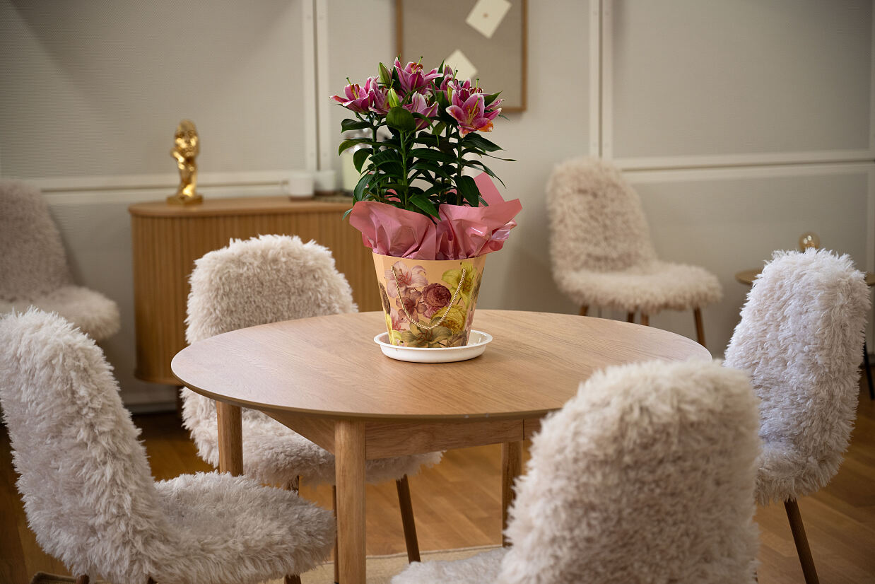 elanflow_(c) Furnica Marian_9