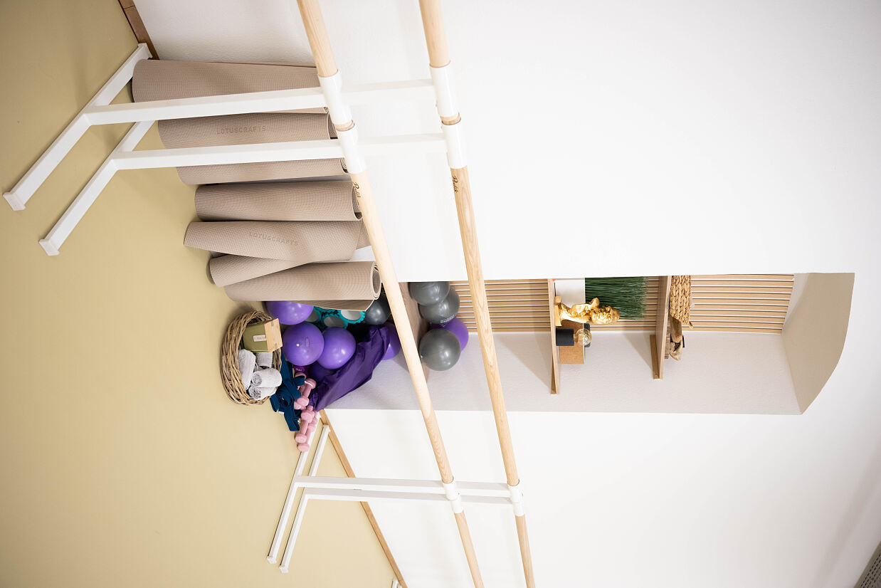 elanflow_(c) Furnica Marian_20