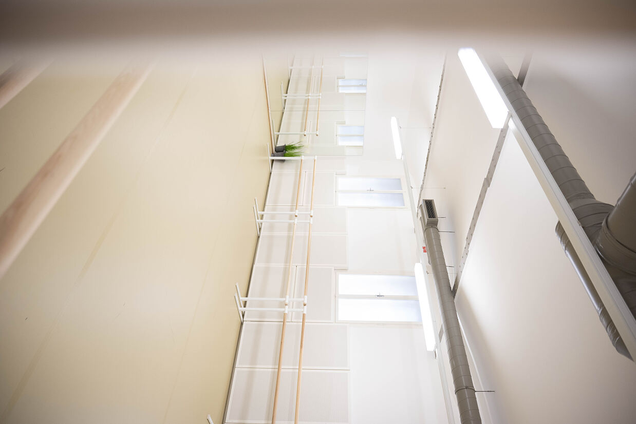 elanflow_(c) Furnica Marian_22