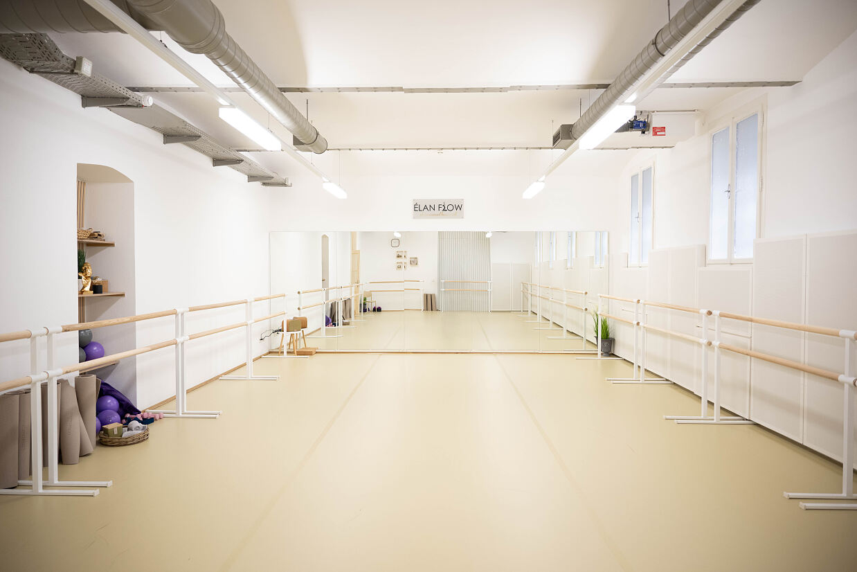 elanflow_(c) Furnica Marian_23