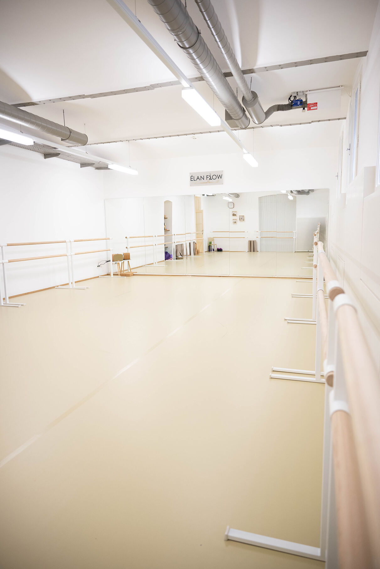 elanflow_(c) Furnica Marian_24