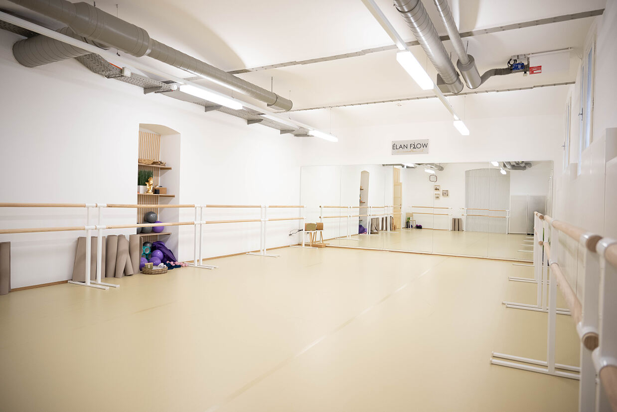 elanflow_(c) Furnica Marian_25