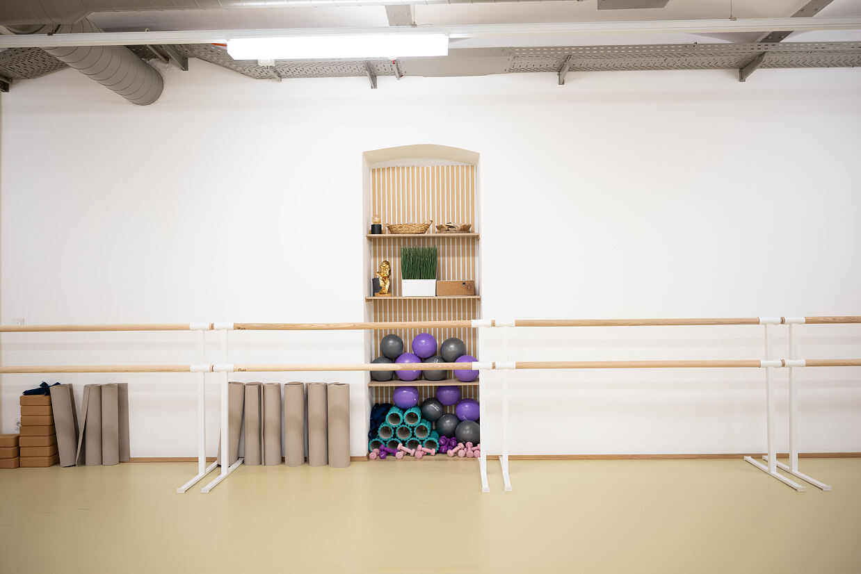 elanflow_(c) Furnica Marian_28