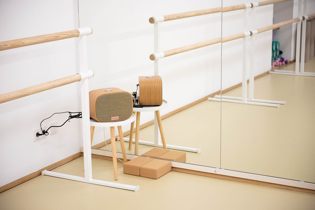 elanflow_(c) Furnica Marian_31