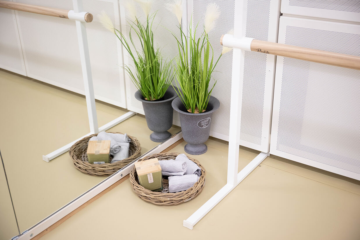 elanflow_(c) Furnica Marian_32