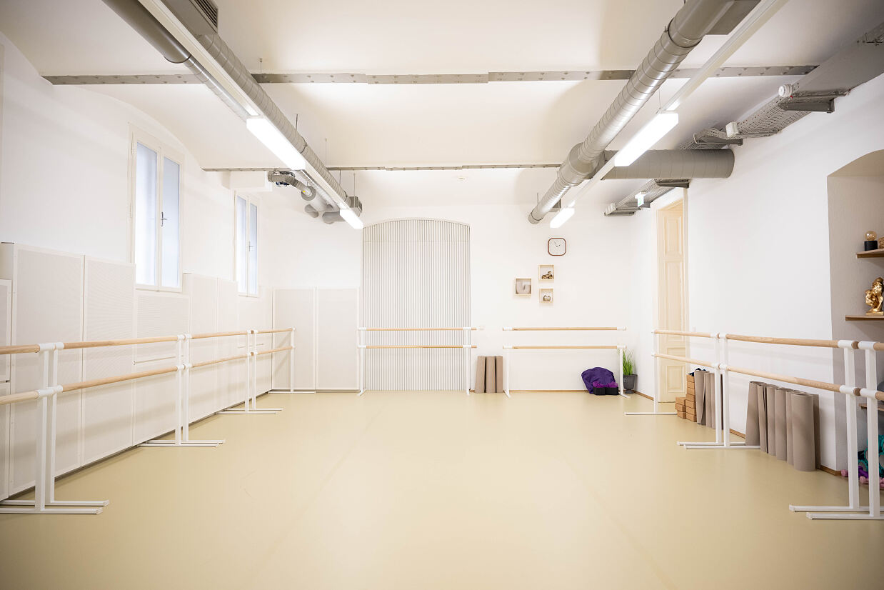 elanflow_(c) Furnica Marian_34