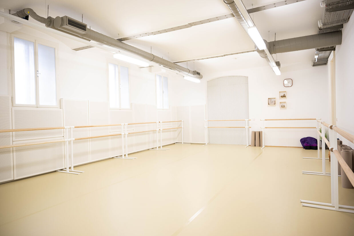 elanflow_(c) Furnica Marian_35