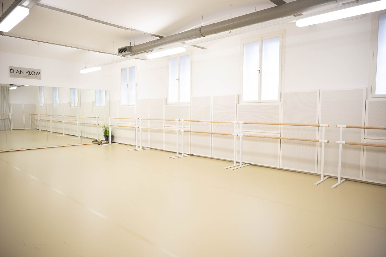 elanflow_(c) Furnica Marian_36