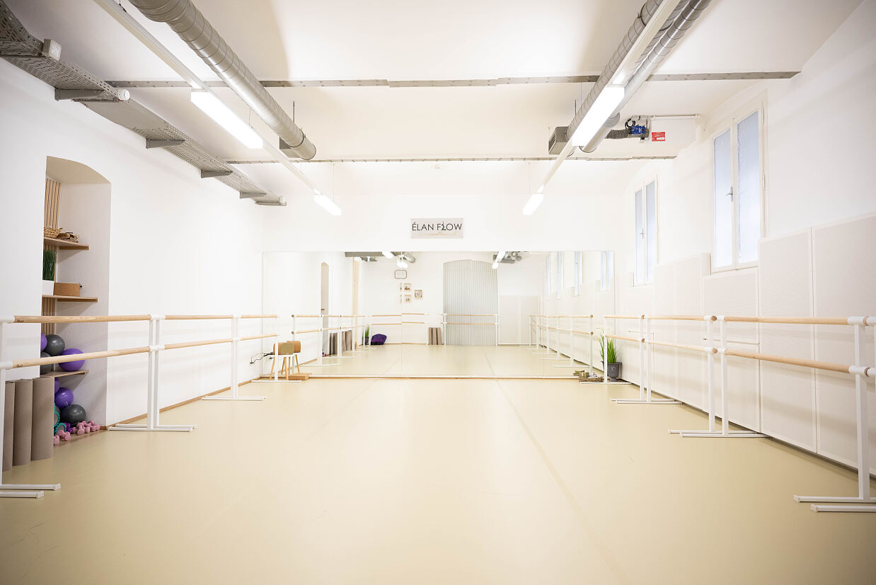 elanflow_(c) Furnica Marian_38