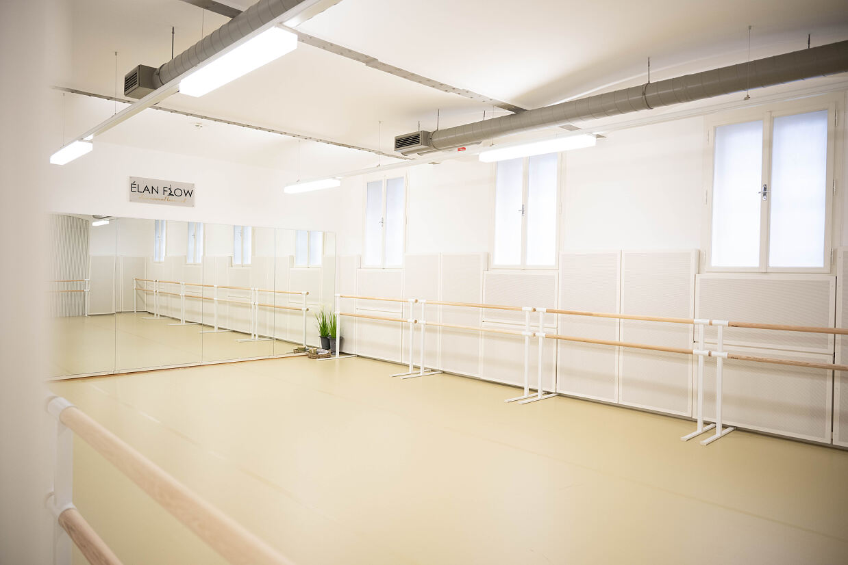 elanflow_(c) Furnica Marian_39