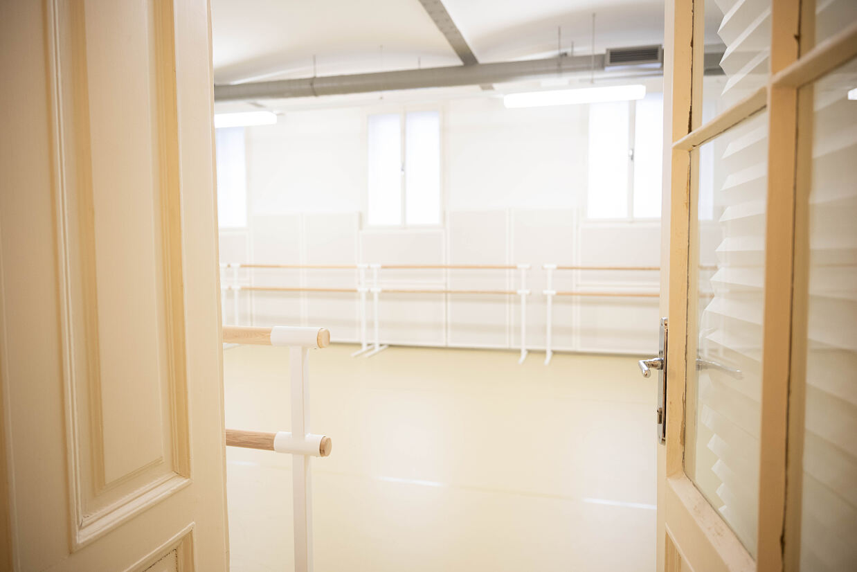 elanflow_(c) Furnica Marian_40