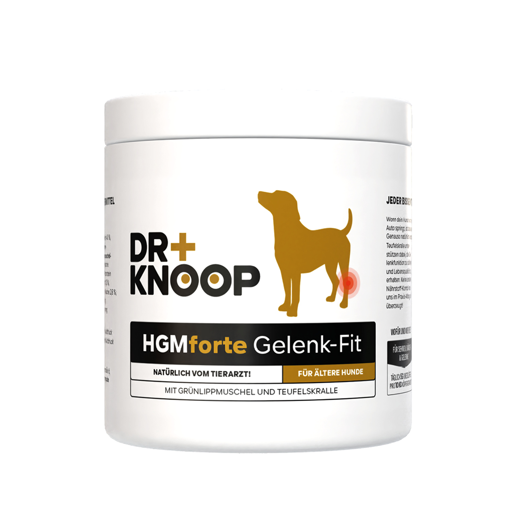 THE GOODSTUFF empfiehlt Dr. Knoop_HGM Forte Gelenk-Pulver für ältere Hunde_EUR 16,95