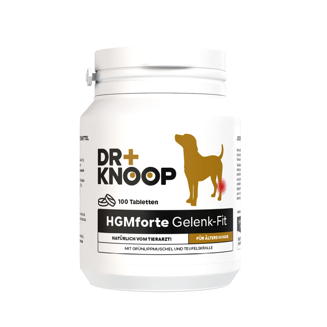 THE GOODSTUFF empfiehlt Dr. Knoop_HGM Forte Gelenk-Tabletten für ältere Hunde_EUR 19,95