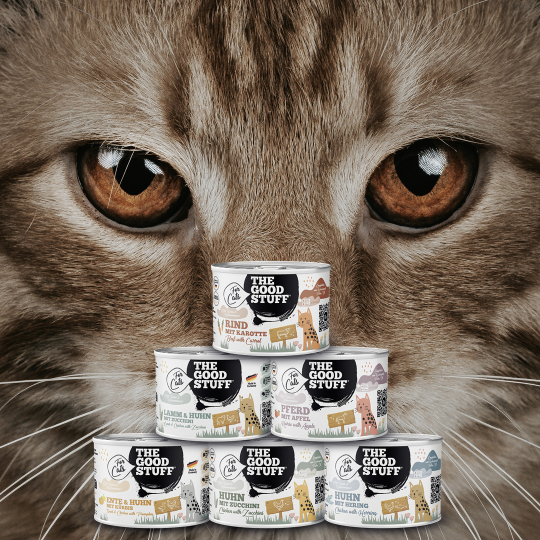THE GOODSTUFF_Mixtray Cat_EUR_12,64 (3)