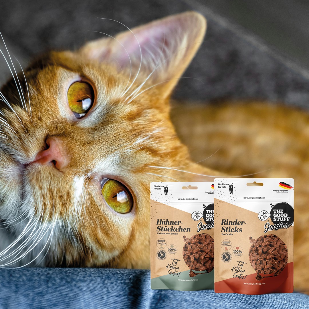 THE GOODSTUFF_Goodies_ab EUR 6,99_03