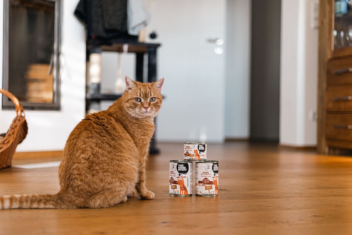 THE GOODSTUFF for Cats (c) iknips, Kerstin Ordelt_02