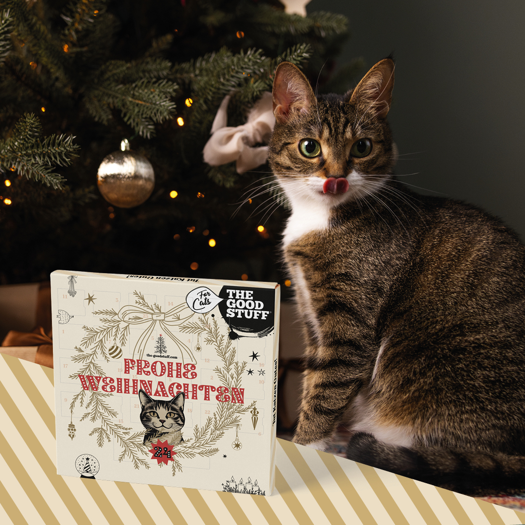 THE GOODSTUFF_Adventskalender für Katze_EUR 18,99