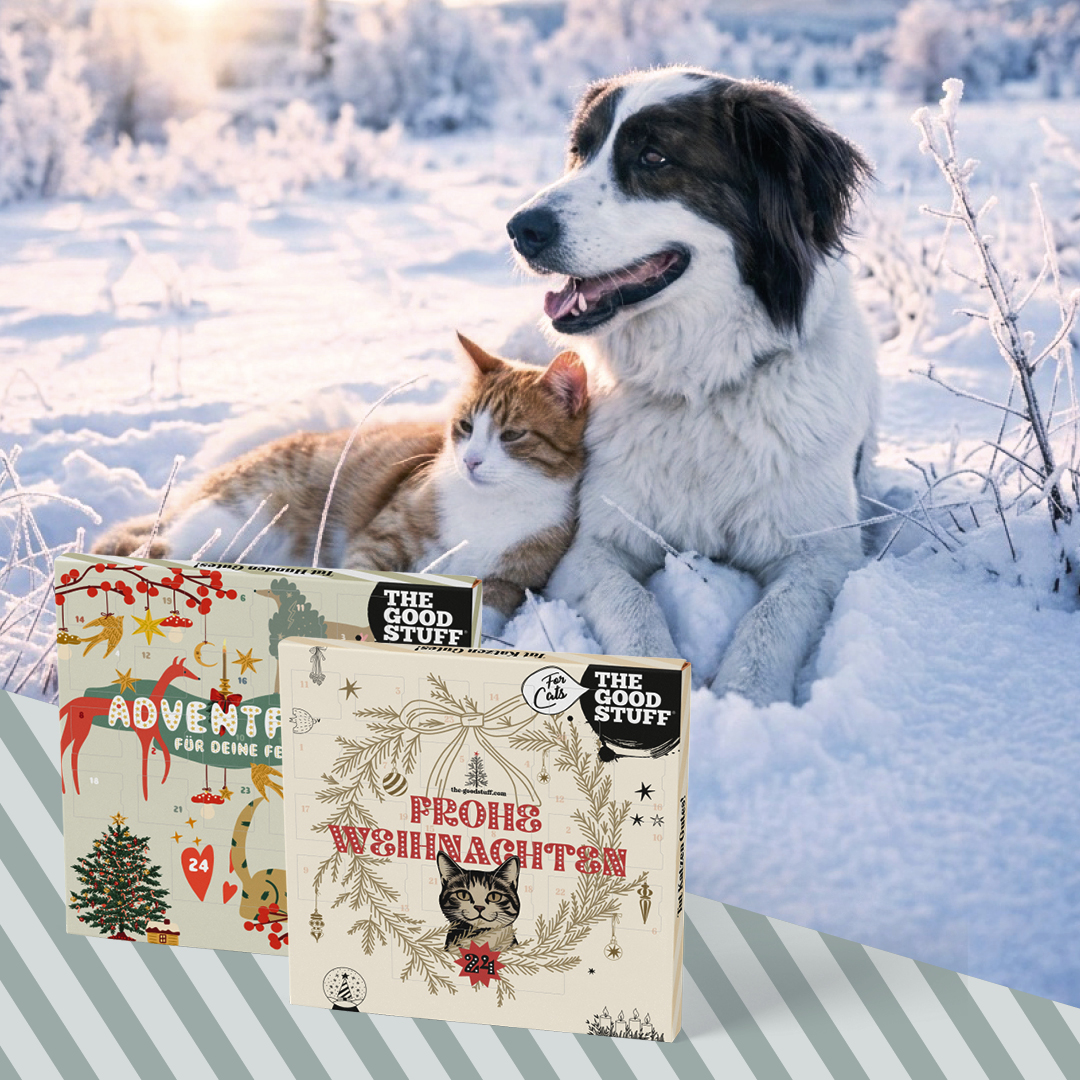 THE GOODSTUFF_Adventskalender für Hund und Katze_EUR 18,99_1