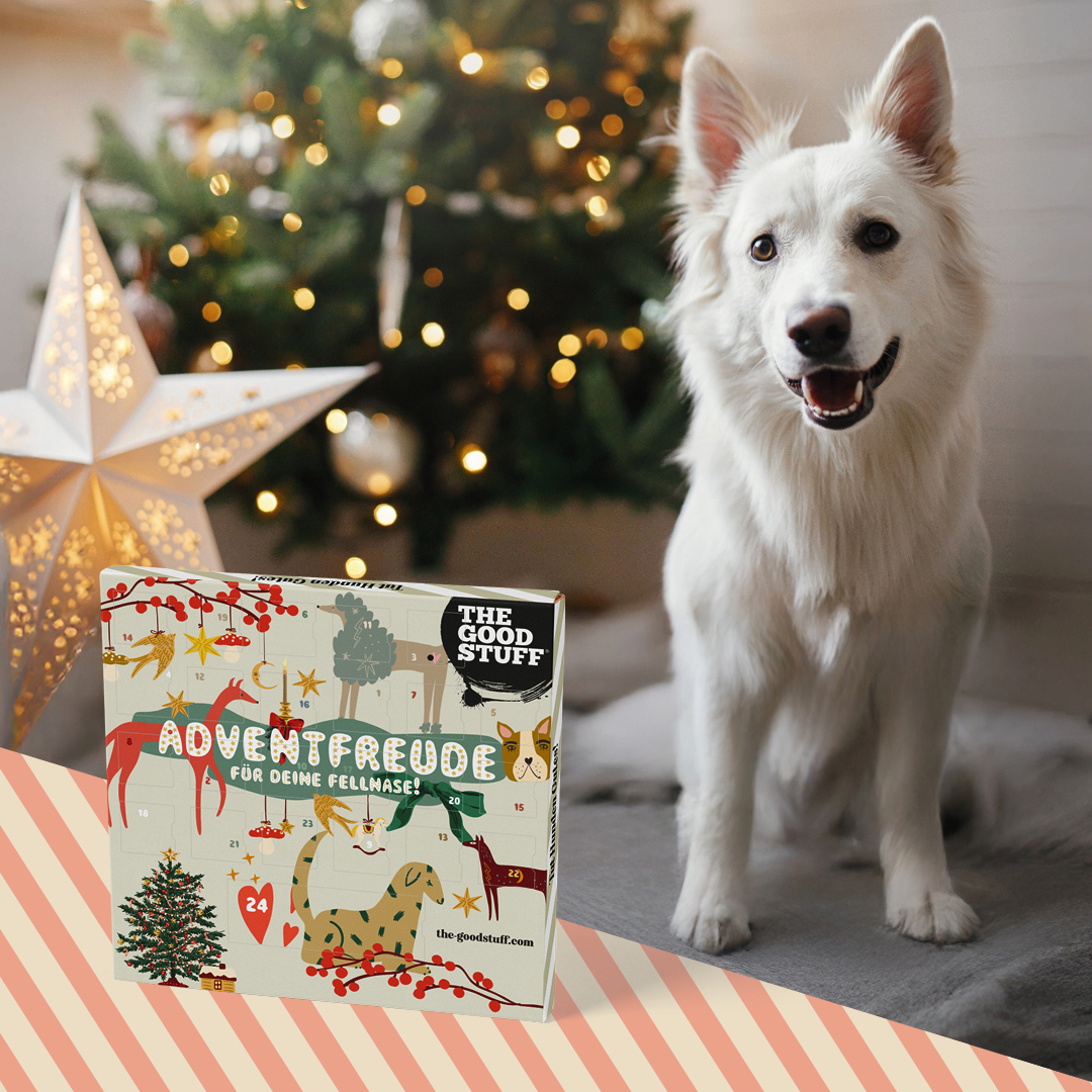 THE GOODSTUFF_Adventskalender für Hund_EUR 18,99_2