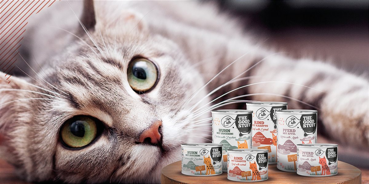 THE GOODSTUFF For Cats