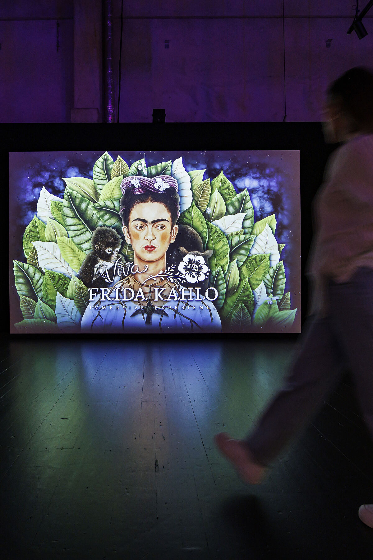 VIVA FRIDA KAHLO-IMMERSIVE EXPERIENCE_14