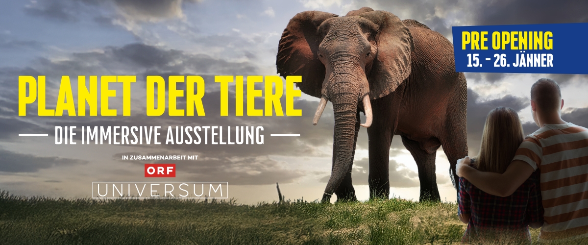 Planet der Tiere - Die immersive Ausstellung 6