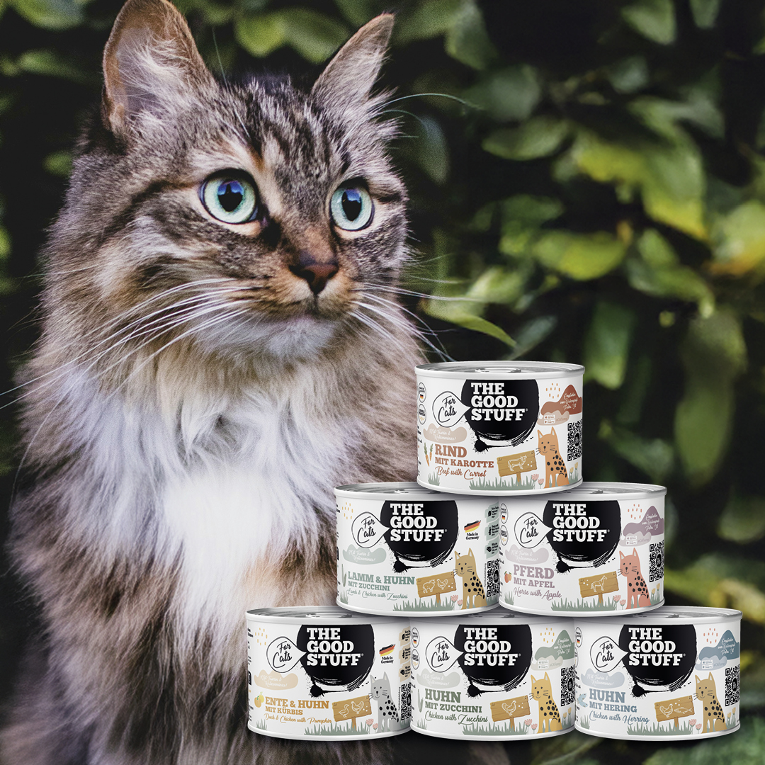 THE GOODSTUFF_Mixtray Cat_EUR_12,64 (1)