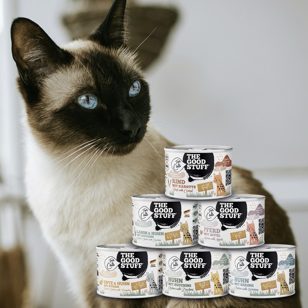 THE GOODSTUFF_Mixtray Cat_EUR_12,64 (4)