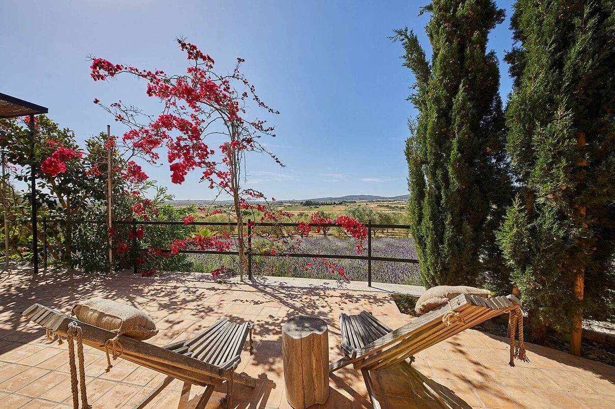 Move Mind Food by Dominique_RE BALANCE Retreat auf Mallorca (c) Finca Serena_3