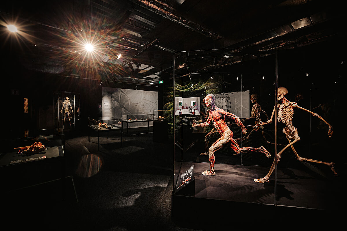 KOERPERWELTEN – Am Puls der Zeit – Wiener Stadthalle (c) Philipp Lipiarski_02