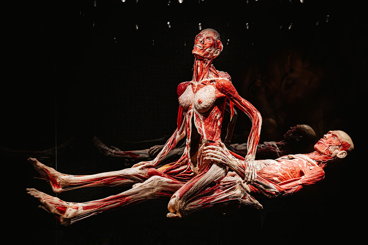 KOERPERWELTEN – Am Puls der Zeit – Wiener Stadthalle (c) Philipp Lipiarski_08