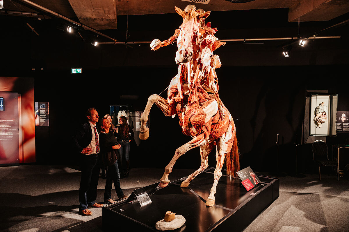 KOERPERWELTEN – Pre-Opening am 20.11. in Wien (c) PhilippLipiarski_17