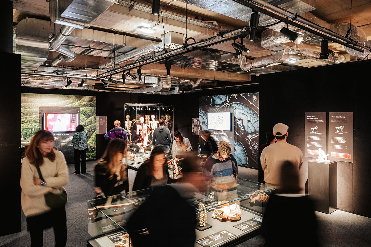 KOERPERWELTEN – Pre-Opening am 20.11. in Wien (c) PhilippLipiarski_9