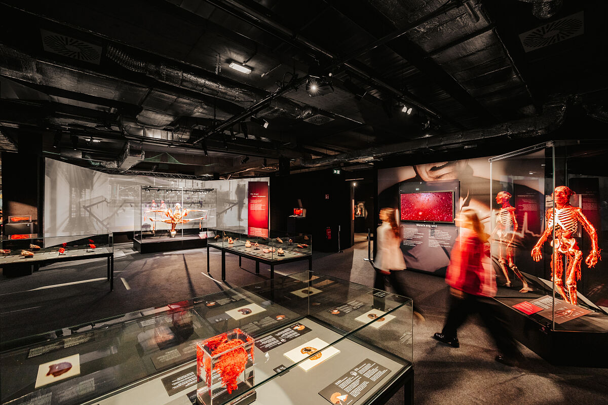 KOERPERWELTEN – Am Puls der Zeit – Wiener Stadthalle (c) Philipp Lipiarski_01