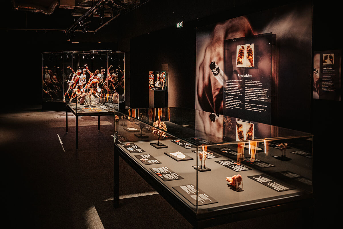 KOERPERWELTEN – Am Puls der Zeit – Wiener Stadthalle (c) Philipp Lipiarski_03