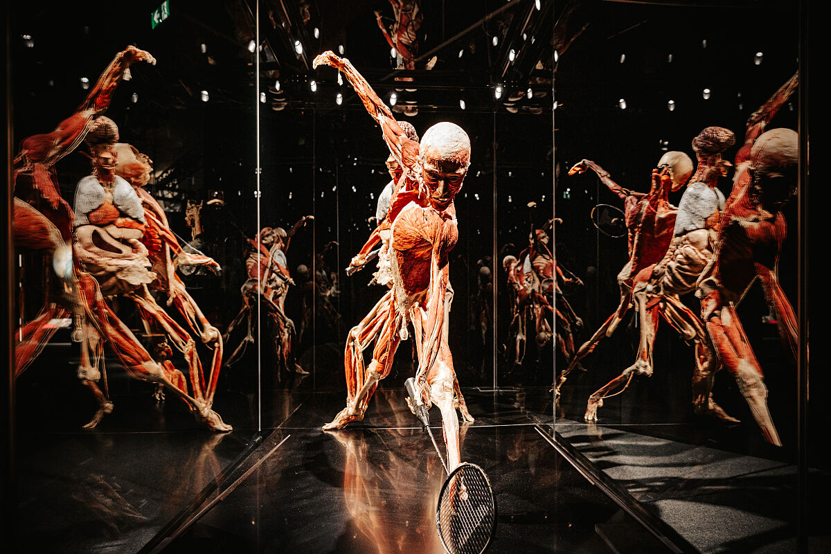 KOERPERWELTEN – Am Puls der Zeit – Wiener Stadthalle (c) Philipp Lipiarski_05