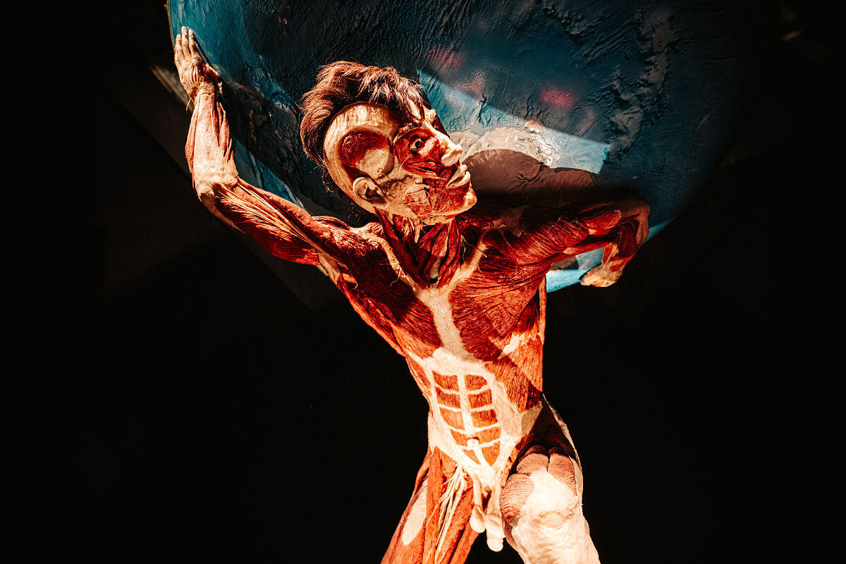 KOERPERWELTEN – Am Puls der Zeit – Wiener Stadthalle (c) Philipp Lipiarski_09