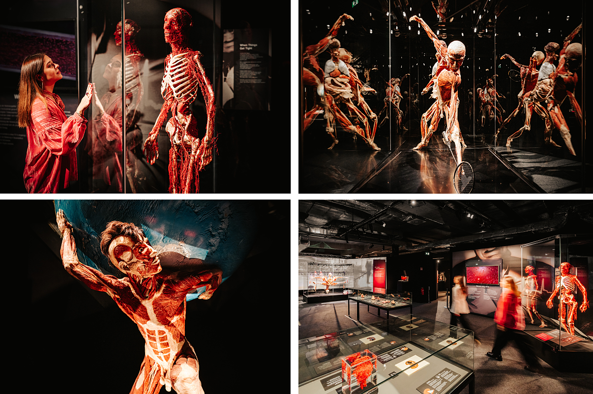 HIER GEHTS ZUM BILDMATERIAL.