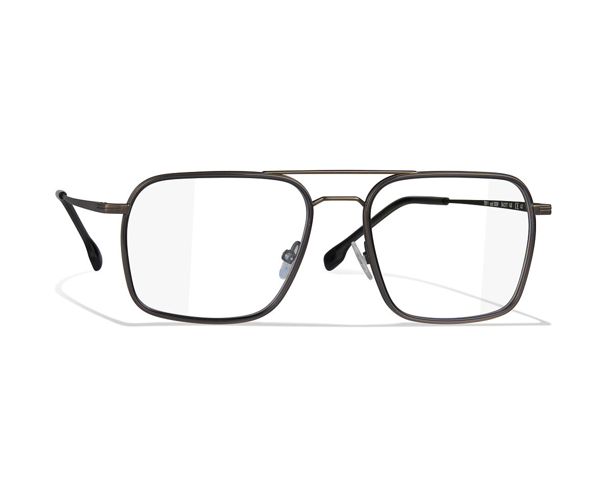 FR!TZ EYEWEAR_T011_EUR 245,00