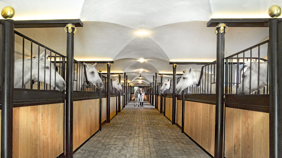 Move Mind Food by Dominique_Bio- und Wellnessresort Stanglwirt_(c) Stanglwirt_17