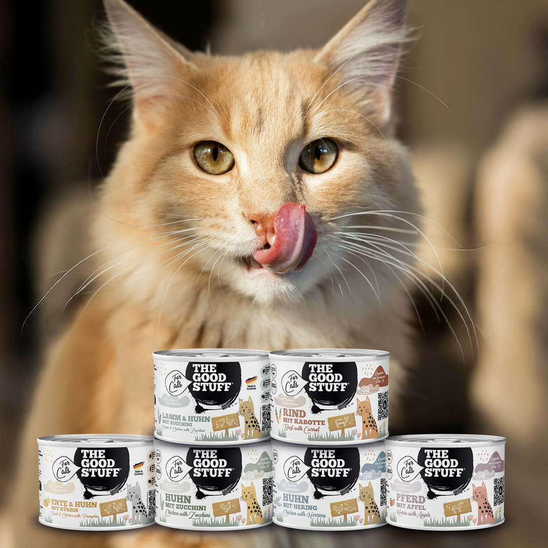 THE GOODSTUFF_Mixtray Cat_EUR_12,64